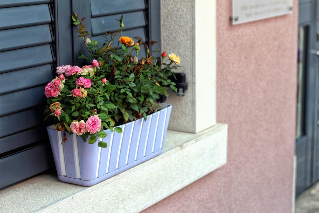 Kseni Accommodation Rovinj Buitenkant foto
